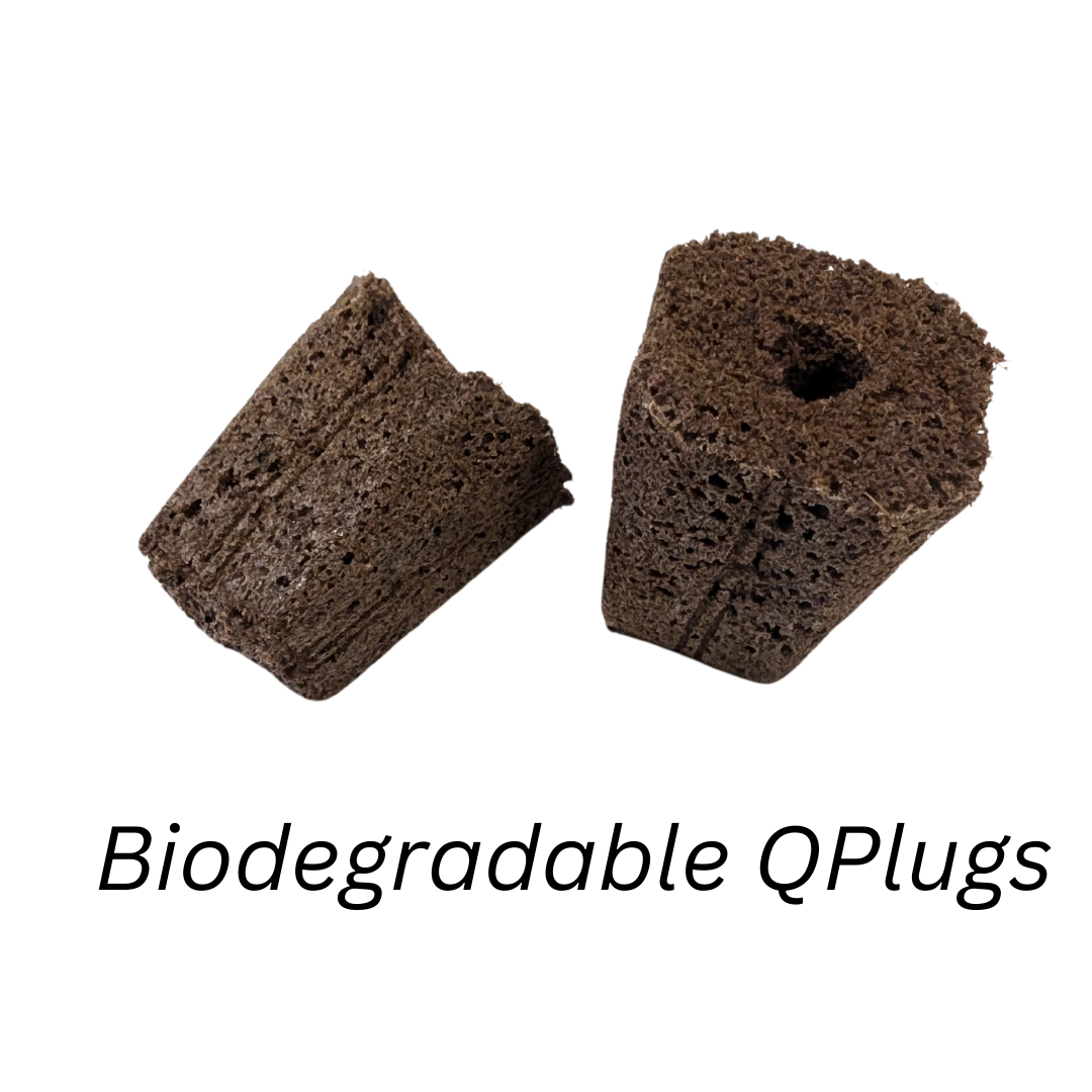 π 50 Biodegradable Qplugs (40% off)
