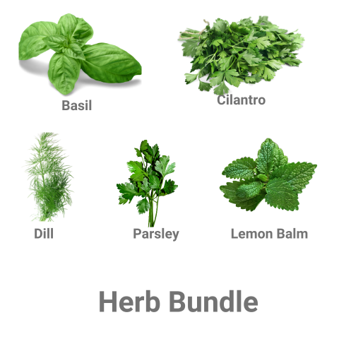 π Herb Bundle (40% off)