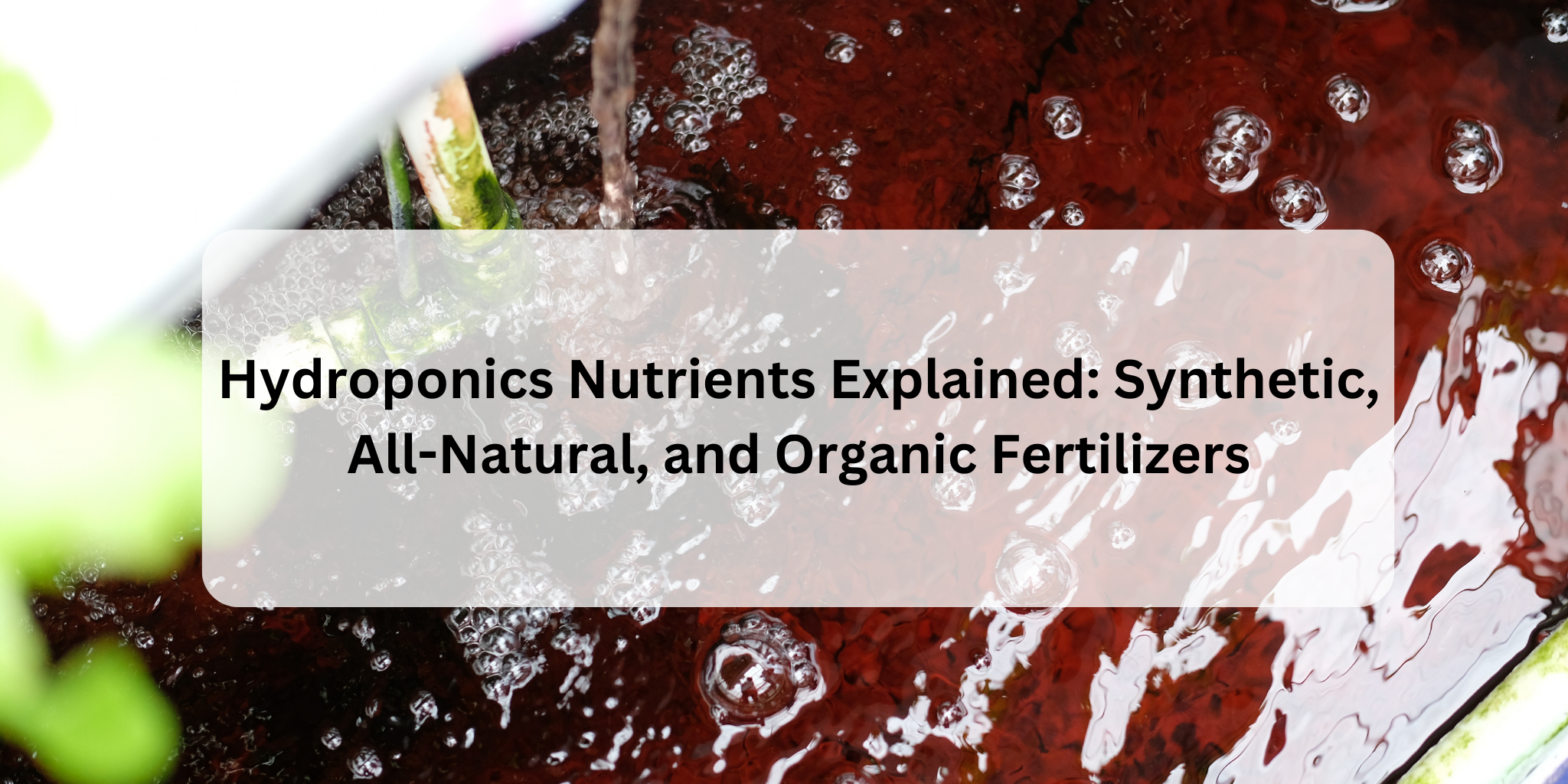 Hydroponics Nutrients Explained Synthetic, AllNatural, and Organic F