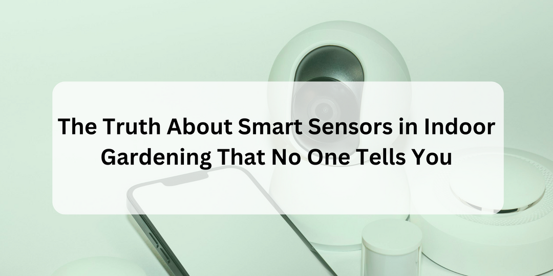 The Truth About Smart Sensors in Indoor Gardening That No One Tells You