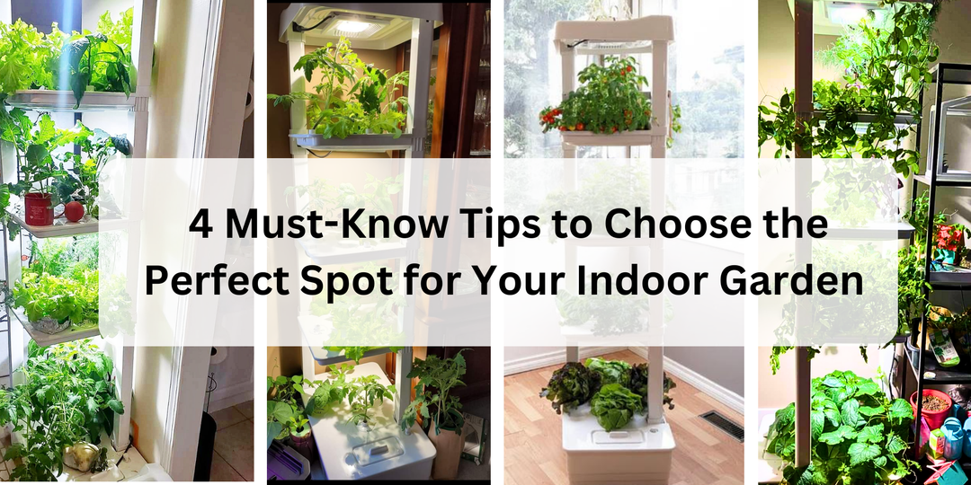 Unlock Hydroponic Success: 4 Must-Know Tips to Choose the Perfect Spot for Your Indoor Garden