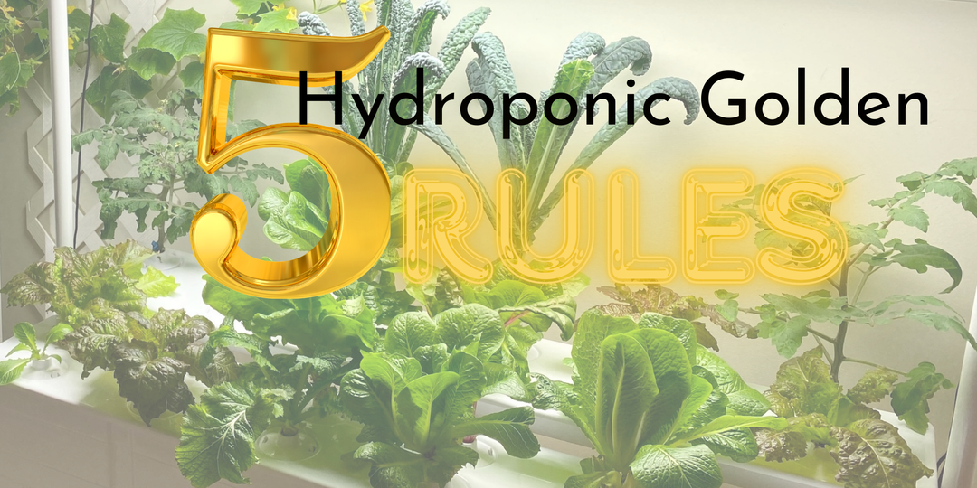 How to Choose the Perfect Hydroponic System: 5 Golden Rules to Guarantee Success