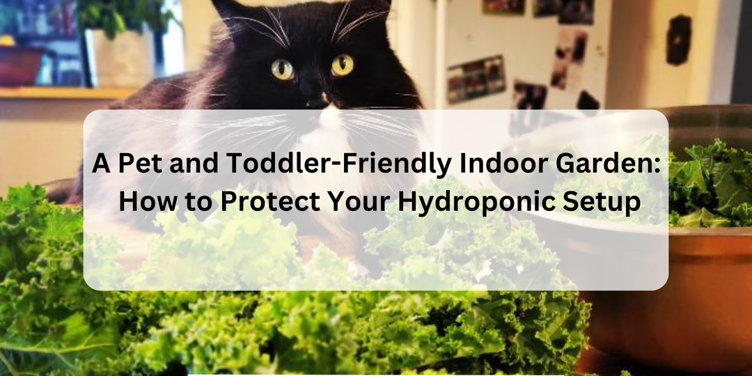 A Pet and Toddler-Friendly Indoor Garden: How to Protect Your Hydroponic Setup - Hope Innovations