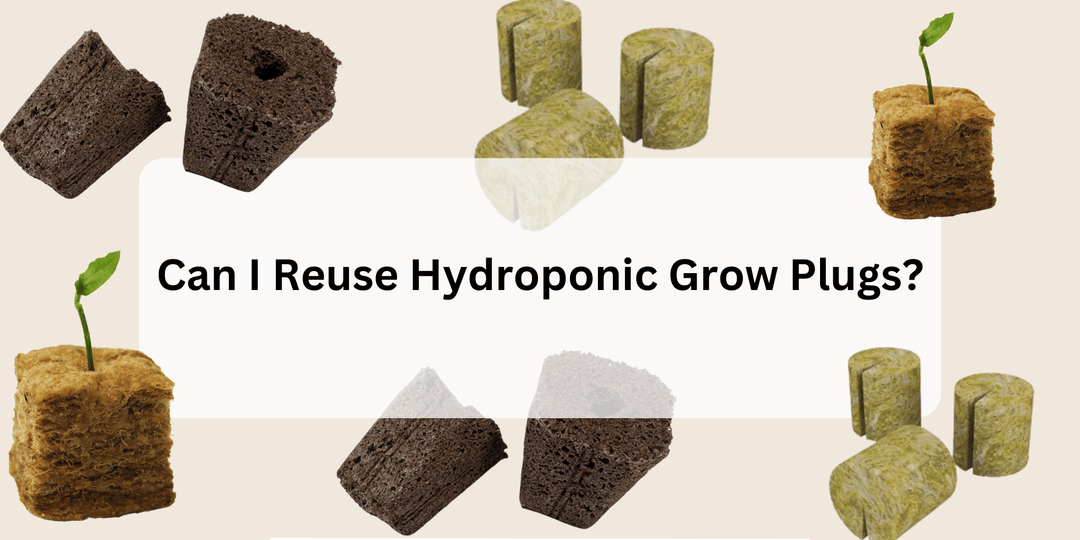 Can I Reuse Hydroponic Grow Plugs? - Hope Innovations