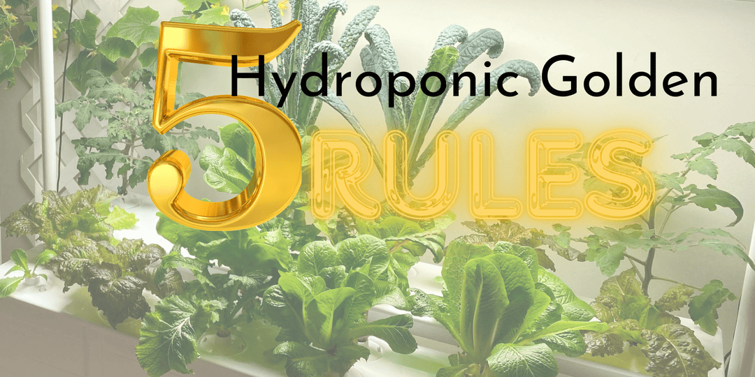 How to Choose the Perfect Hydroponic System: 5 Golden Rules to Guarantee Success - Hope Innovations