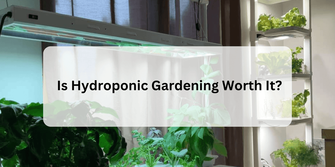 Is Hydroponic Gardening Worth It? - Hope Innovations