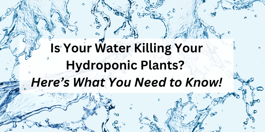 Is Your Water Killing Your Hydroponic Plants? Here’s What You Need to Know! - Hope Innovations