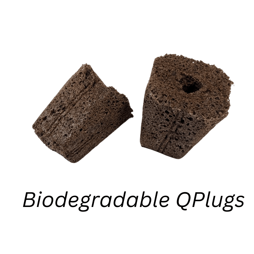 50 Biodegradable Qplugs - Hope Innovations