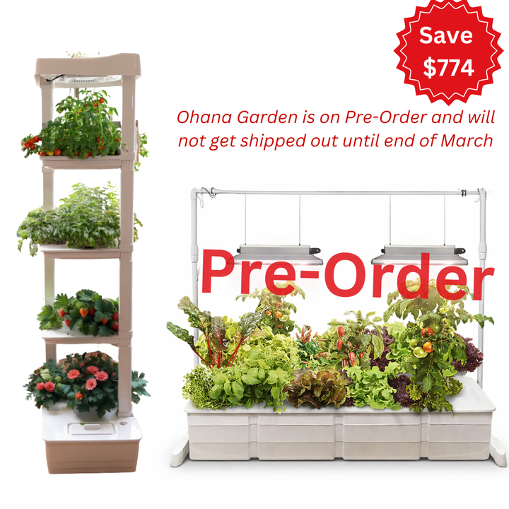 Indoor Garden Bundle