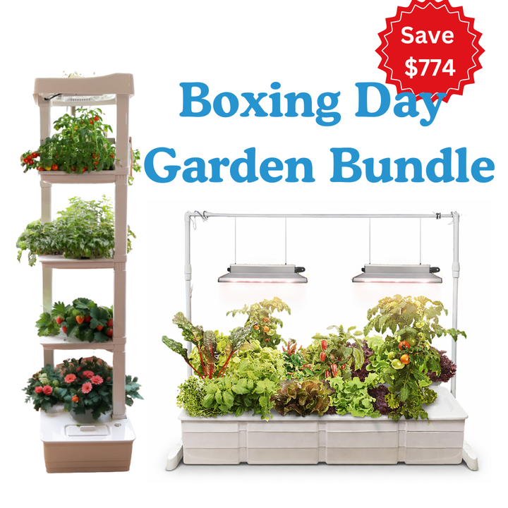 Indoor Garden Bundle