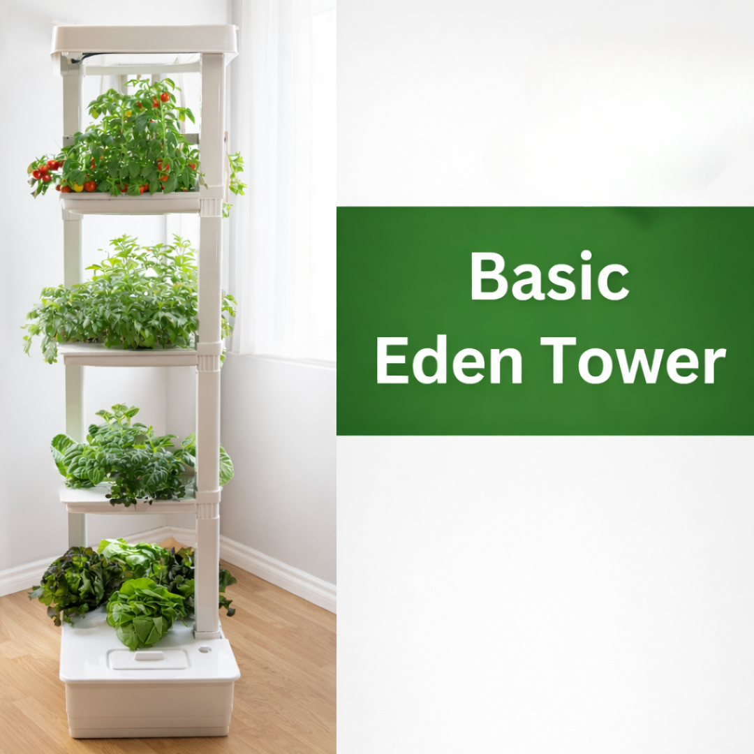 Basic Eden Tower in a house