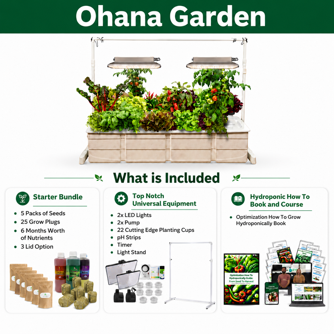 Eden Ohana