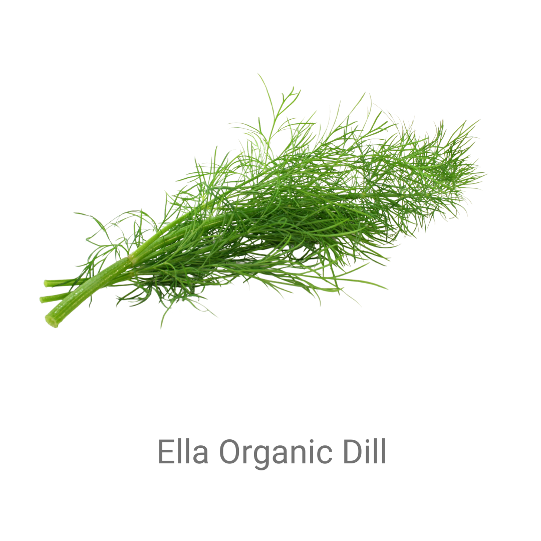 Ella Organic Dill