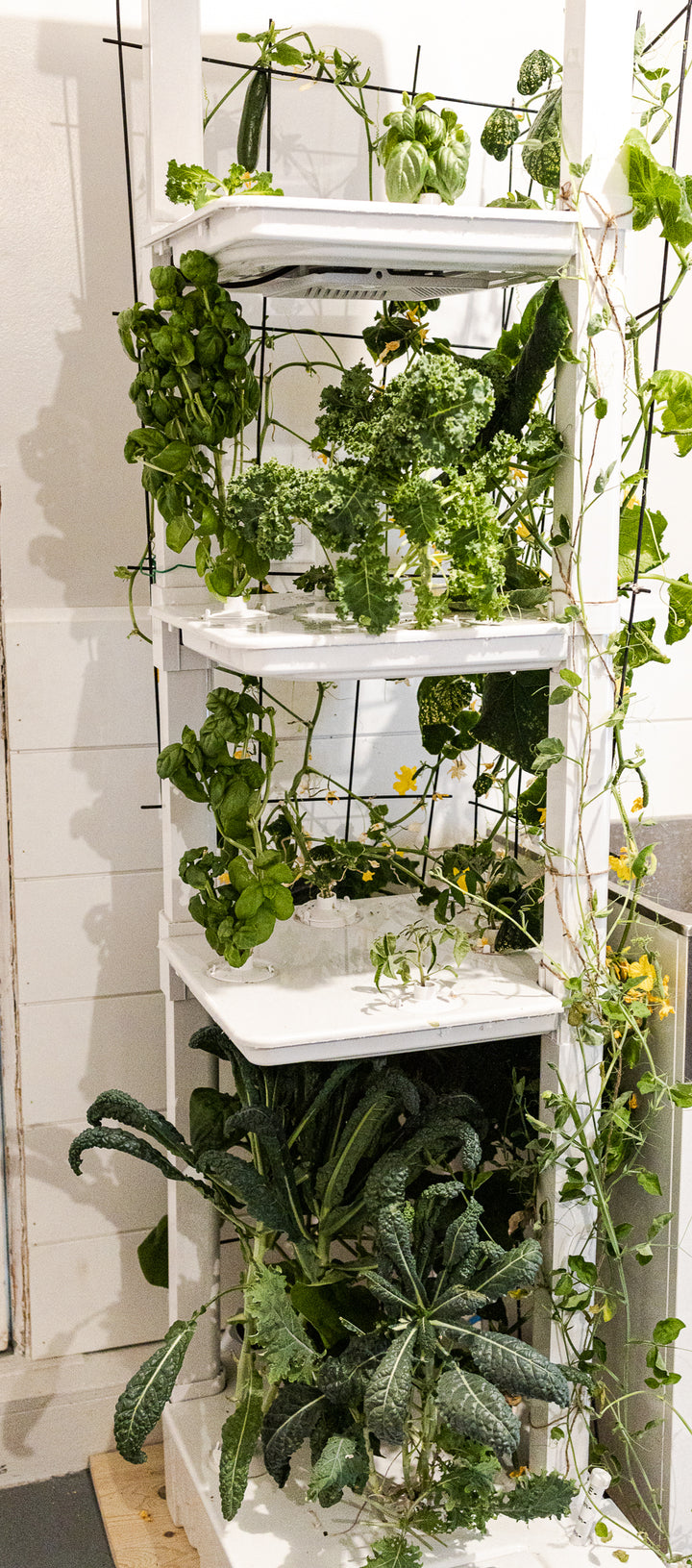 4-tier Eden Tower vertical hydroponic system growing cucumbers, kale, basil, and lettuce