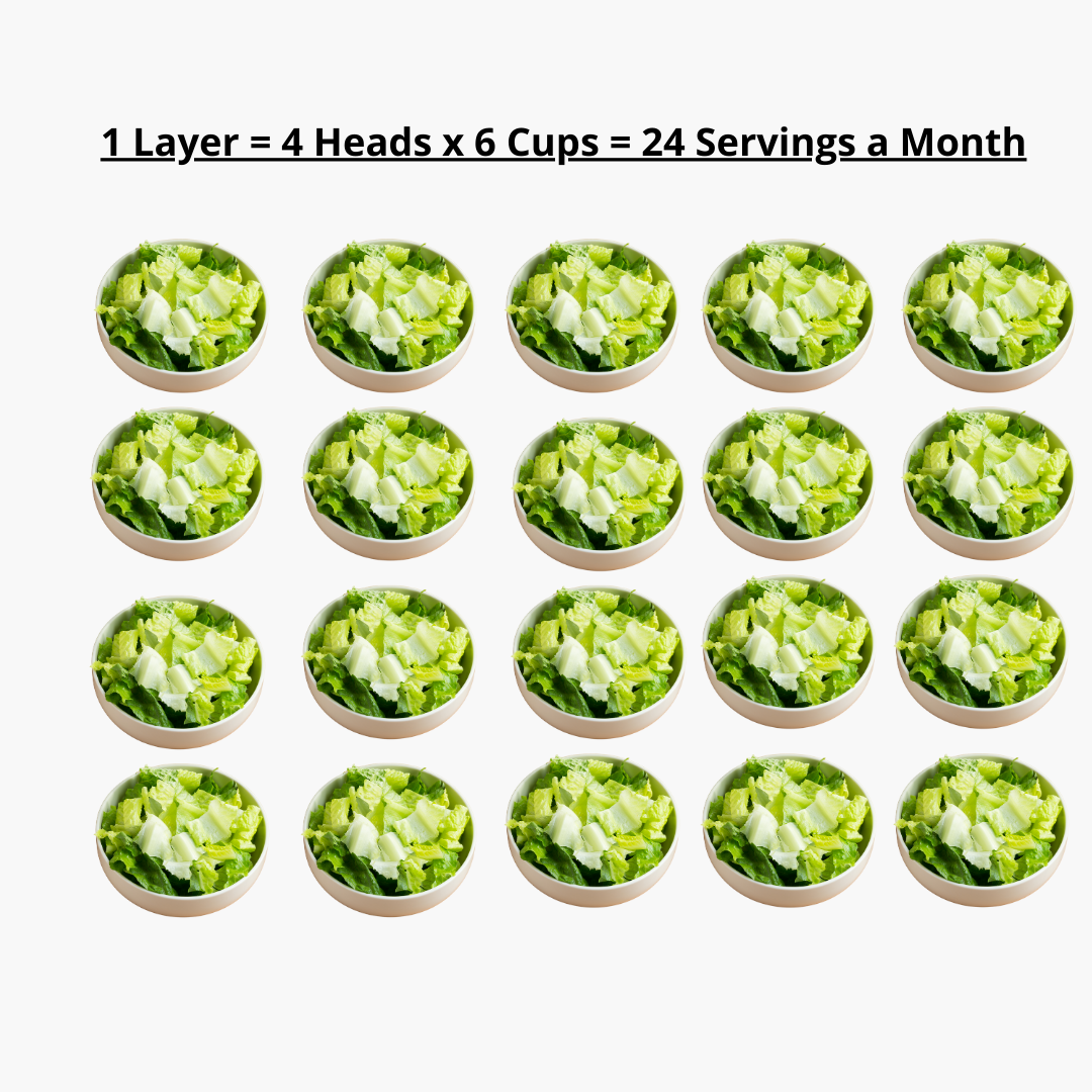 1 LAYER (4 PLANTS) GROWS 24 SERVINGS A MONTH