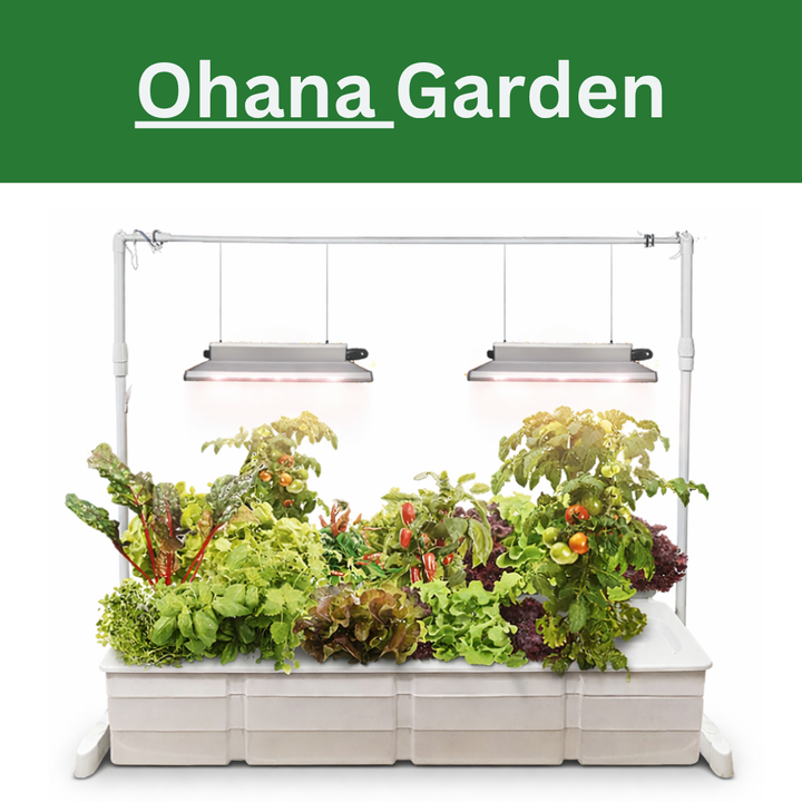 Ohana Indoor Hydroponic Garden by Hope Innovations
