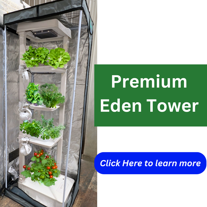 PREMIUM Eden Tower