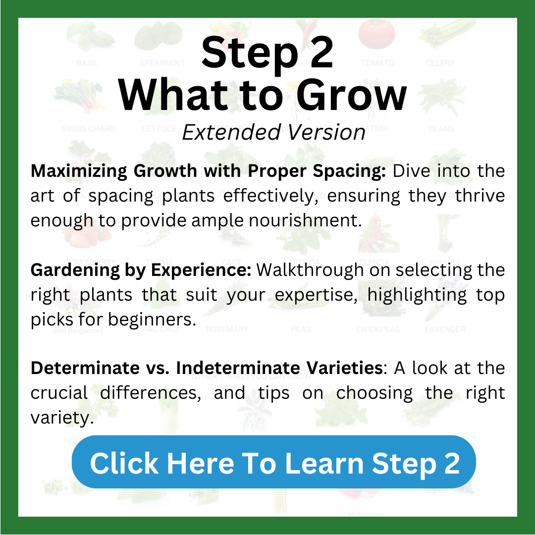 Step 2 What Plants to Grow  – Hope Innovation. Maximizing growth of your plants with proper spacing, and the effect when plants are grown to close together. Hydroponic garden to your experience, best plants for beginners. When growing indoors hydroponically why you want to grow determinate varieties comparted to indeterminate. 