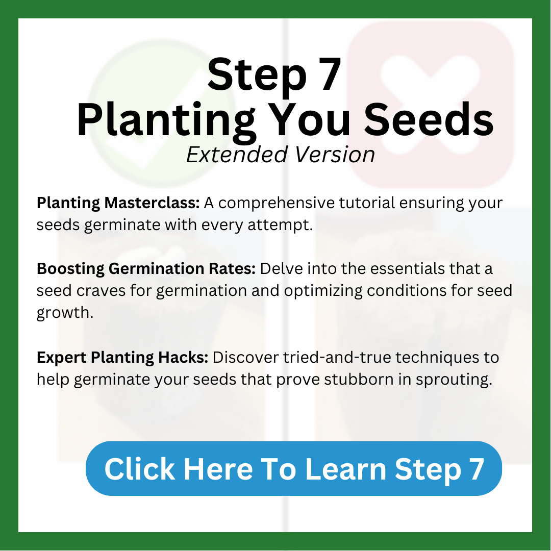 Step 7 Planting your Seeds – Hope Innovation. How to plant your seeds so the germinate every time. How you can boost germination rates and create optimal conditions for seed growth, Expert planting hacks that will help you troubleshoot seeds that are not germinating