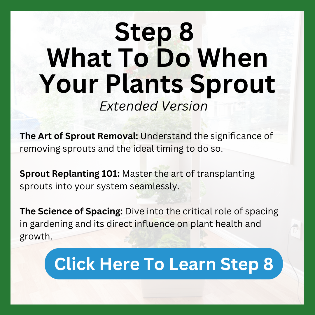 Step 8 Plants Sprout – Hope Innovation, Why you want to remove all but one sprout per a planting cup in hydroponic indoor garden. How to transplant your sprouts in your indoor garden and the importance of spacing. How overcrowding your plants will effect the growth. 