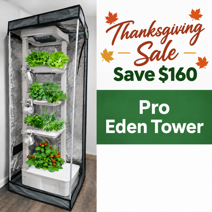 Pro Eden Tower