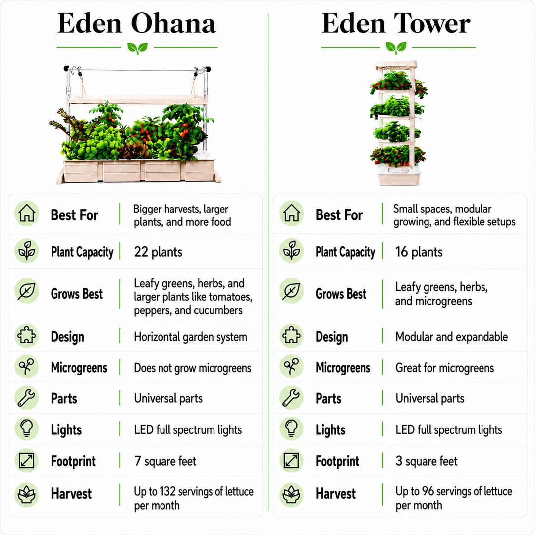 Eden Ohana - Hope Innovations