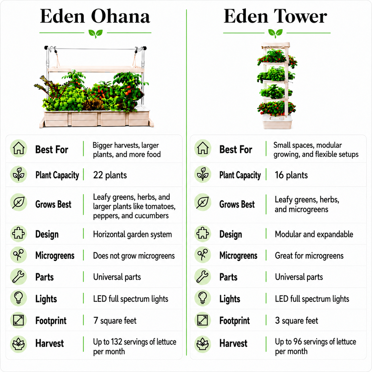 Eden Ohana - Hope Innovations