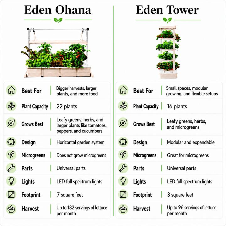 Eden Ohana - Hope Innovations