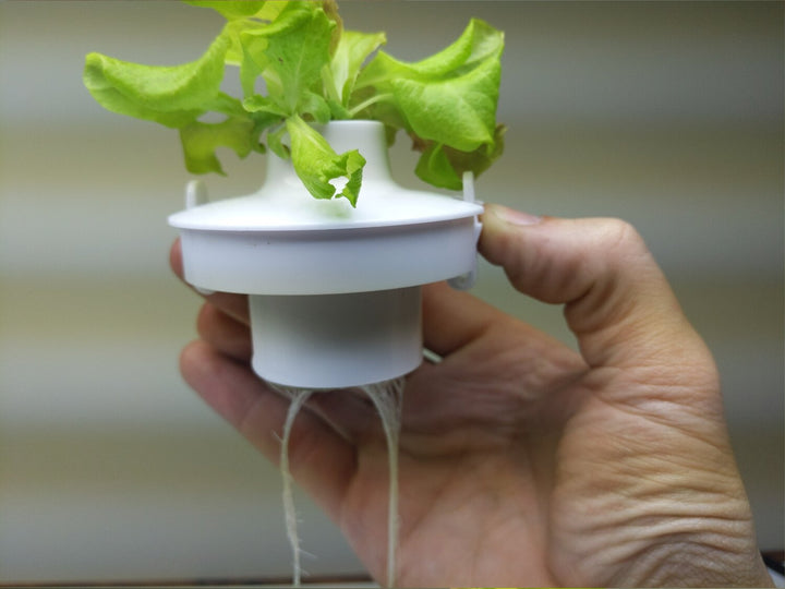 🎁 Planting Cups (One Piece) (40% off)