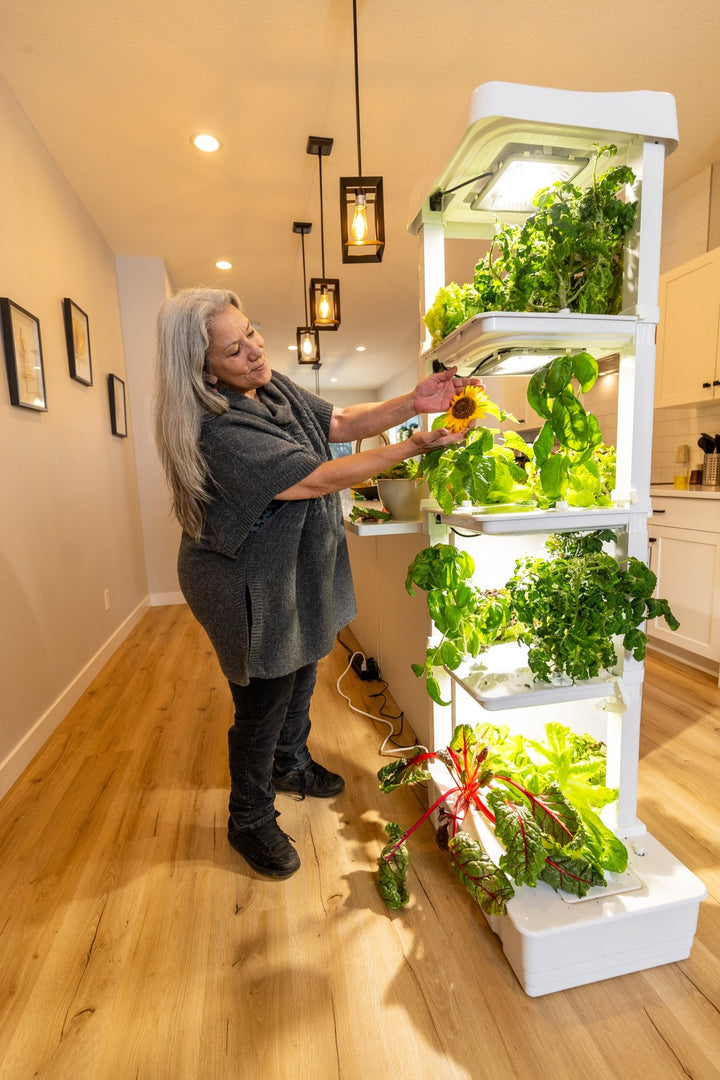 PREMIUM Eden Tower in a kithcen growing sunflowers, lettuce, basil, herbs, tomatoes and much more