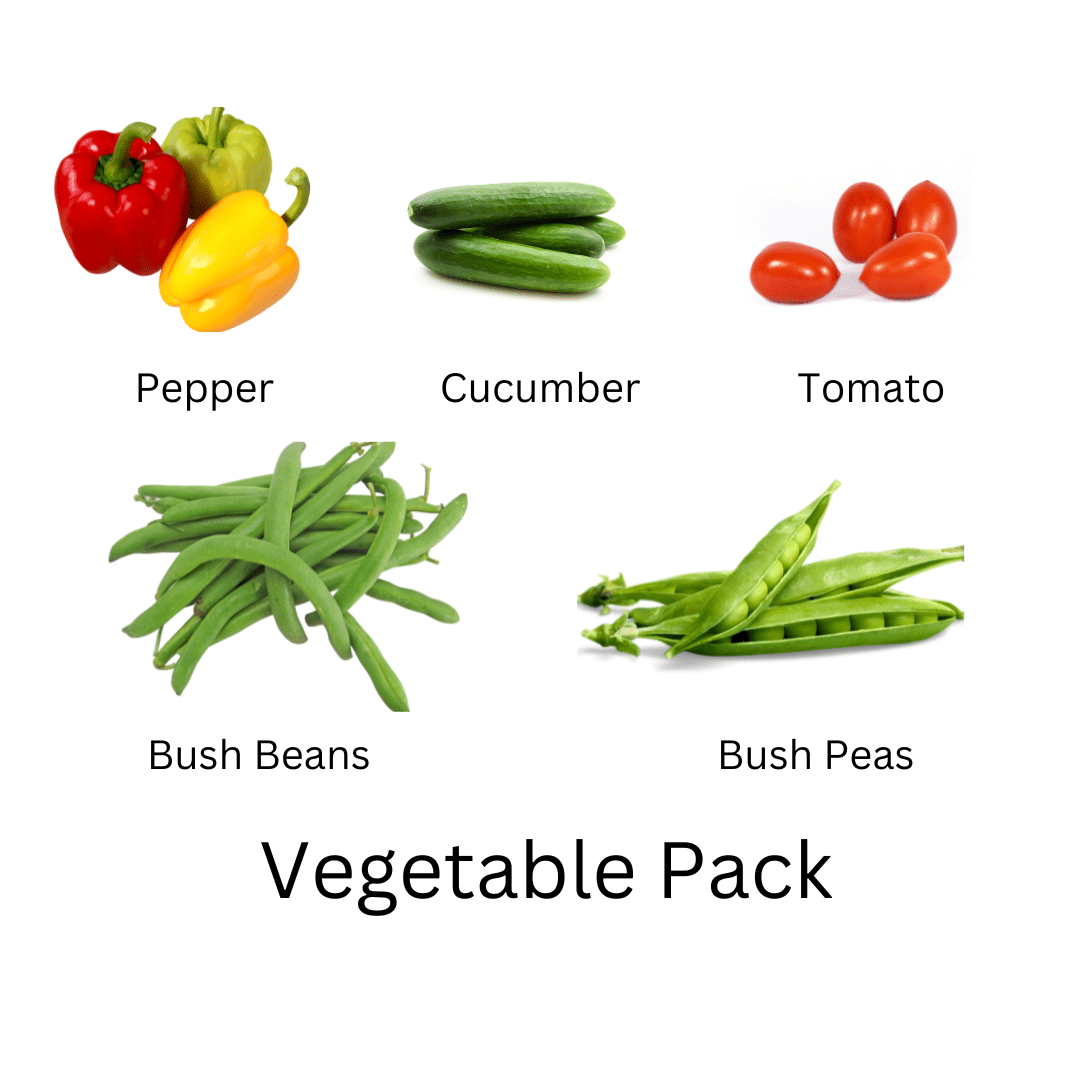 vegetable seed pack includes pepper, cucumber, tomatoe, bush beans and bush peas