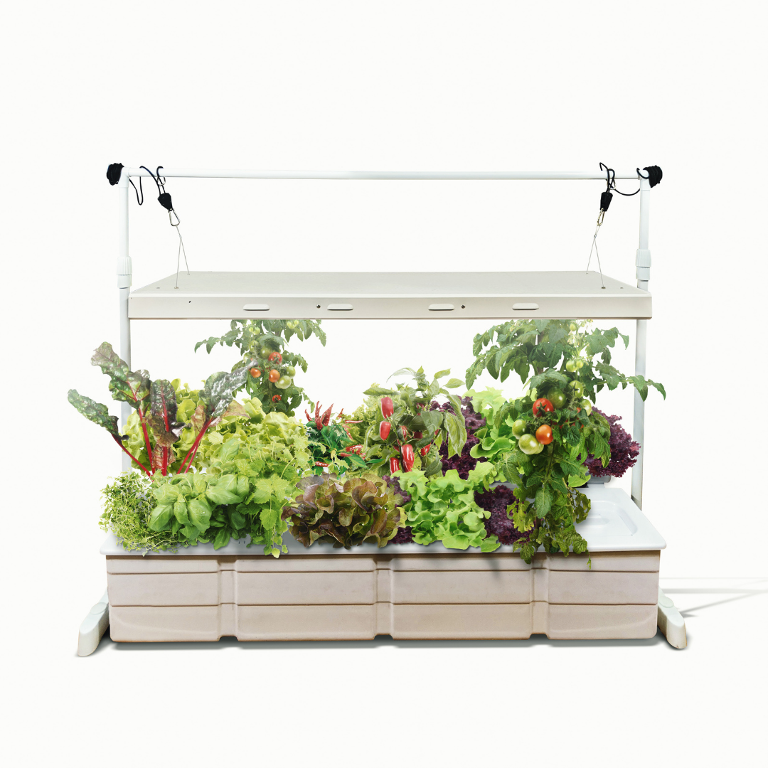 Eden Garden by hope innovation is a hydroponic n.f.t system that is great for larger plants